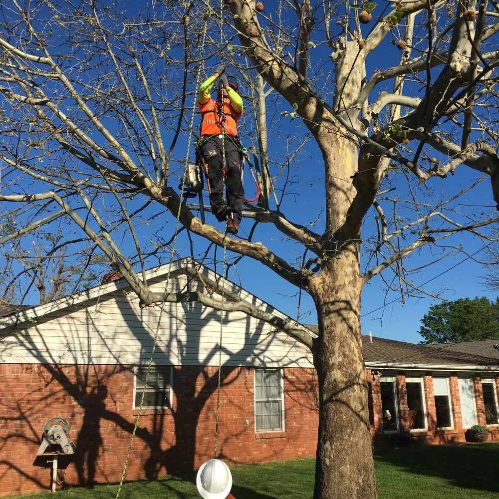 Custom lawn care service with custom design in Woodward, OK by Timber Oklahoma