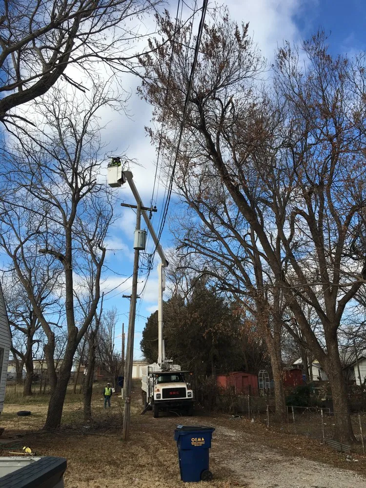 Expert yard maintenance in Woodward, OK - Timber Oklahoma