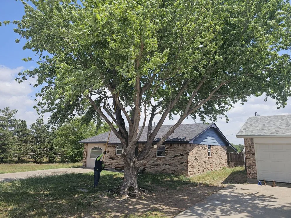 Reliable landscape design for outdoor upgrades in Woodward, OK by Timber Oklahoma