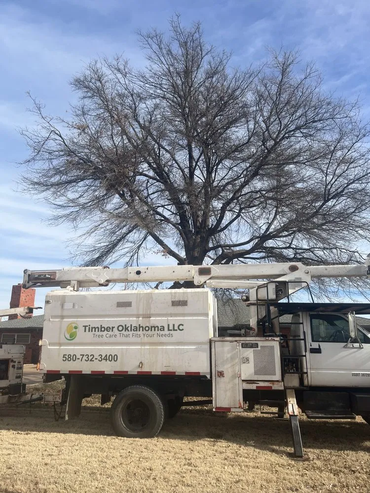 Trusted lawn care service experts serving Woodward, OK - Timber Oklahoma