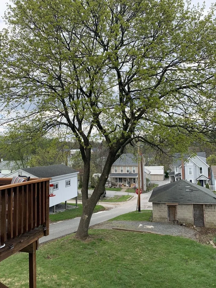 Trusted garden landscaping with custom design across York, PA - Timber Taskforce Tree Service