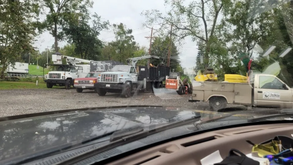 Top-rated yard cleanup service with custom design across York, PA - Timber Taskforce Tree Service