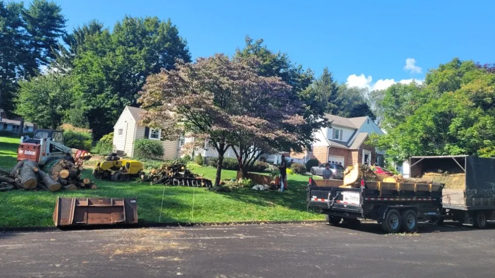 Expert outdoor landscaping experts serving York, PA - Timber Taskforce Tree Service