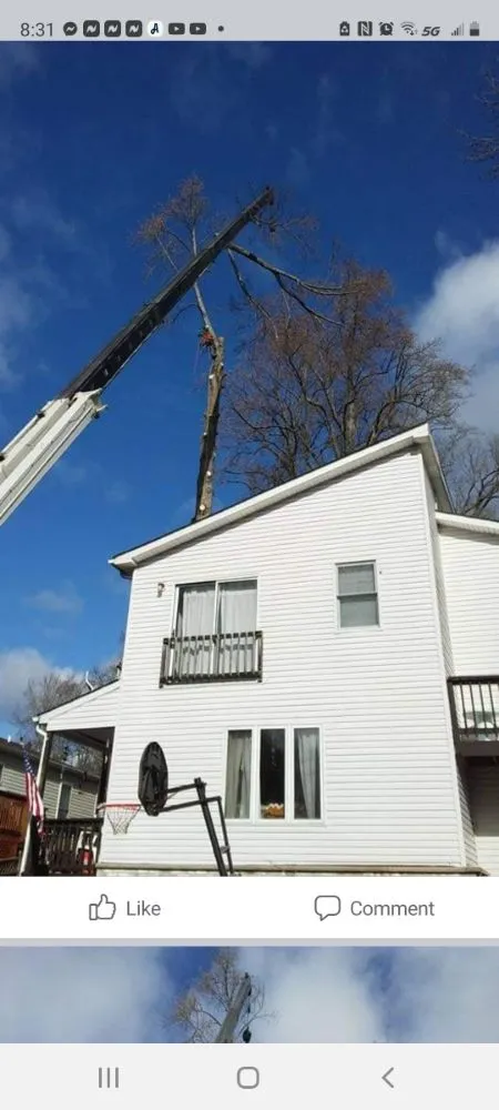 Affordable yard maintenance in York, PA - Timber Taskforce Tree Service