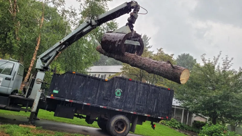 Reliable lawn mowing service in York, PA - Timber Taskforce Tree Service