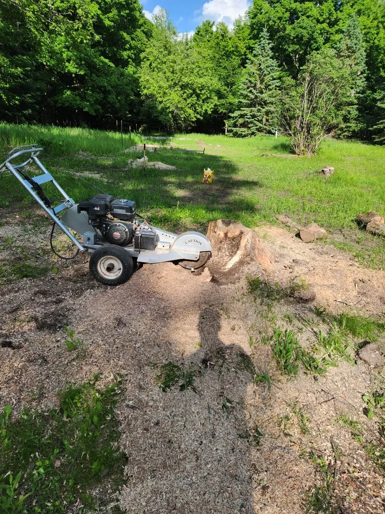 Trusted landscaping services in Marengo, WI by Timber Tech