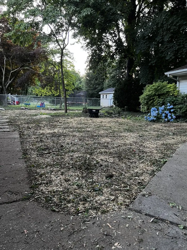 Top-rated yard maintenance for year-round maintenance in York Haven, PA by Timber Techs