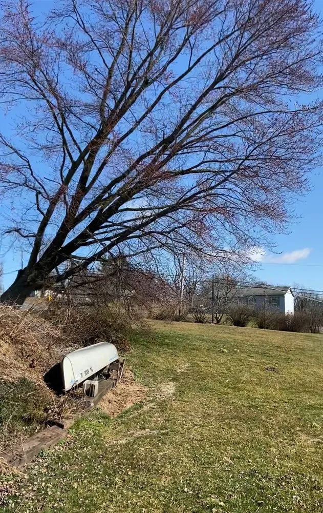 Top-rated yard cleanup service in York Haven, PA - Timber Techs