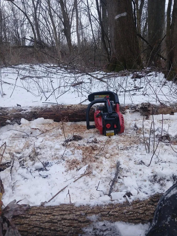 Reliable landscape design for outdoor upgrades across Wolcott, NY - Timber Titans