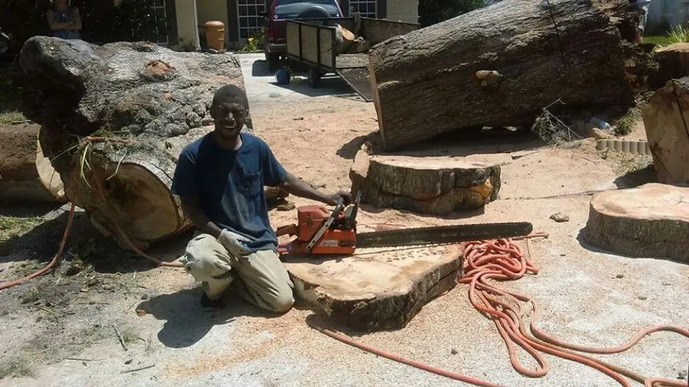 Professional yard maintenance for outdoor upgrades across DeLand, FL - Timber Tree & Landscaping