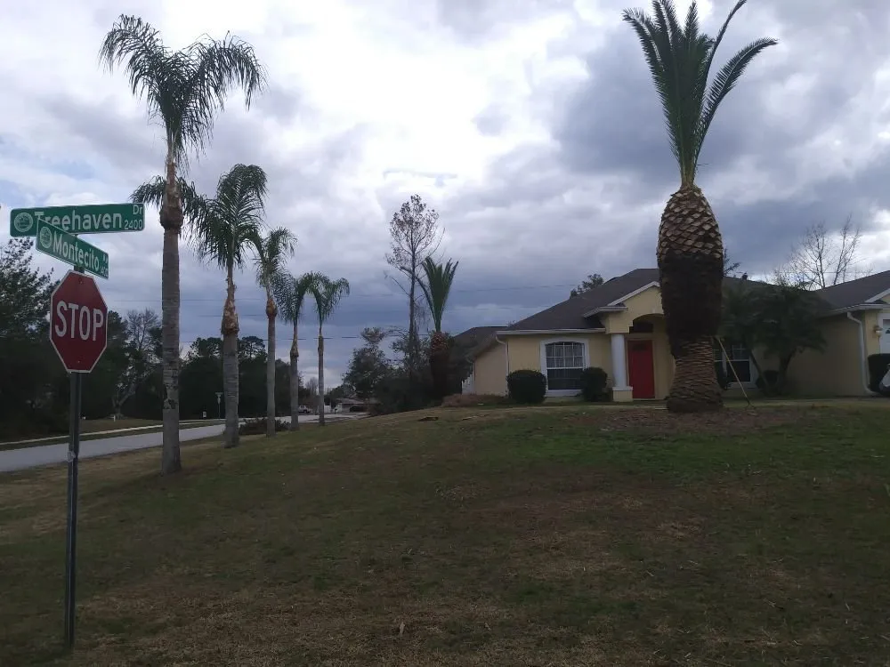 Local landscape design experts serving DeLand, FL - Timber Tree & Landscaping