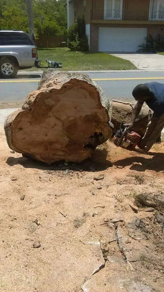 Reliable landscape installation in DeLand, FL by Timber Tree & Landscaping