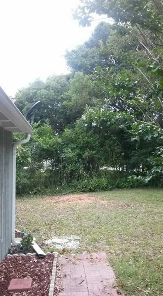 Local outdoor landscaping for outdoor upgrades in DeLand, FL by Timber Tree & Landscaping