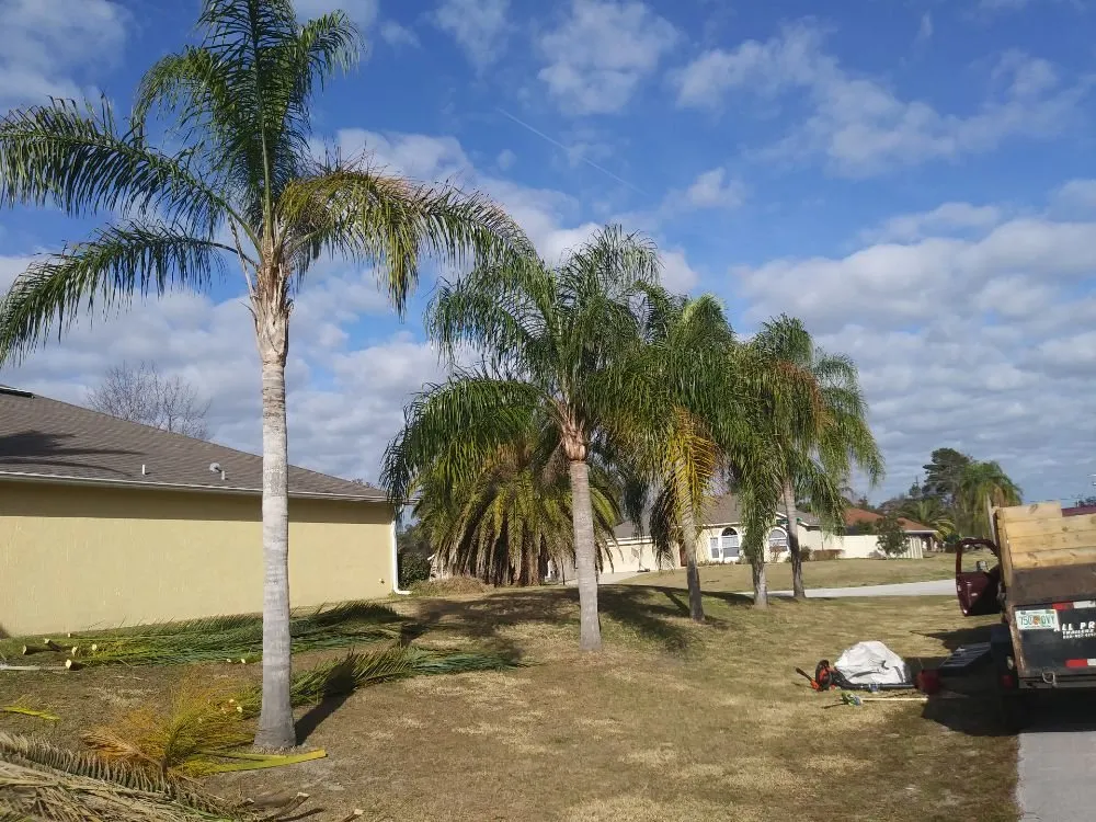 Local yard cleanup service for homes across DeLand, FL - Timber Tree & Landscaping
