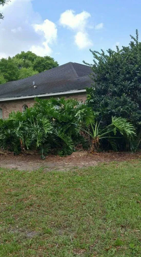 Professional landscape design in DeLand, FL by Timber Tree & Landscaping