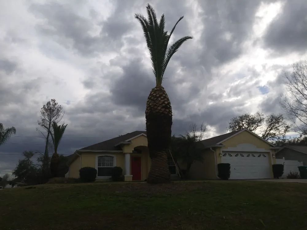 Custom garden landscaping for year-round maintenance in DeLand, FL by Timber Tree & Landscaping