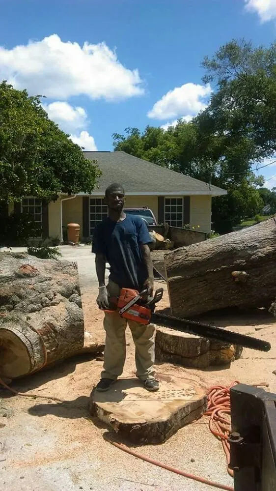 Expert landscape design in DeLand, FL by Timber Tree & Landscaping