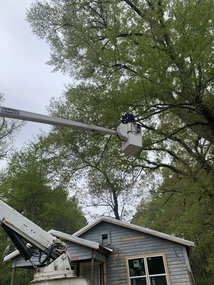 Affordable landscape design near you in Bastrop, LA by Timber Tree