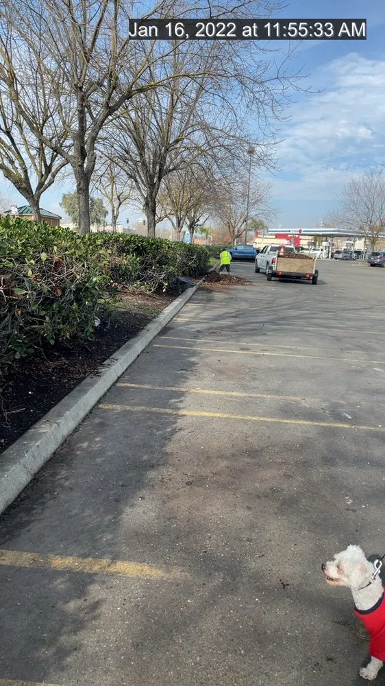 Professional landscape installation experts serving Manteca, CA - Timber Tree Service And Landscaping