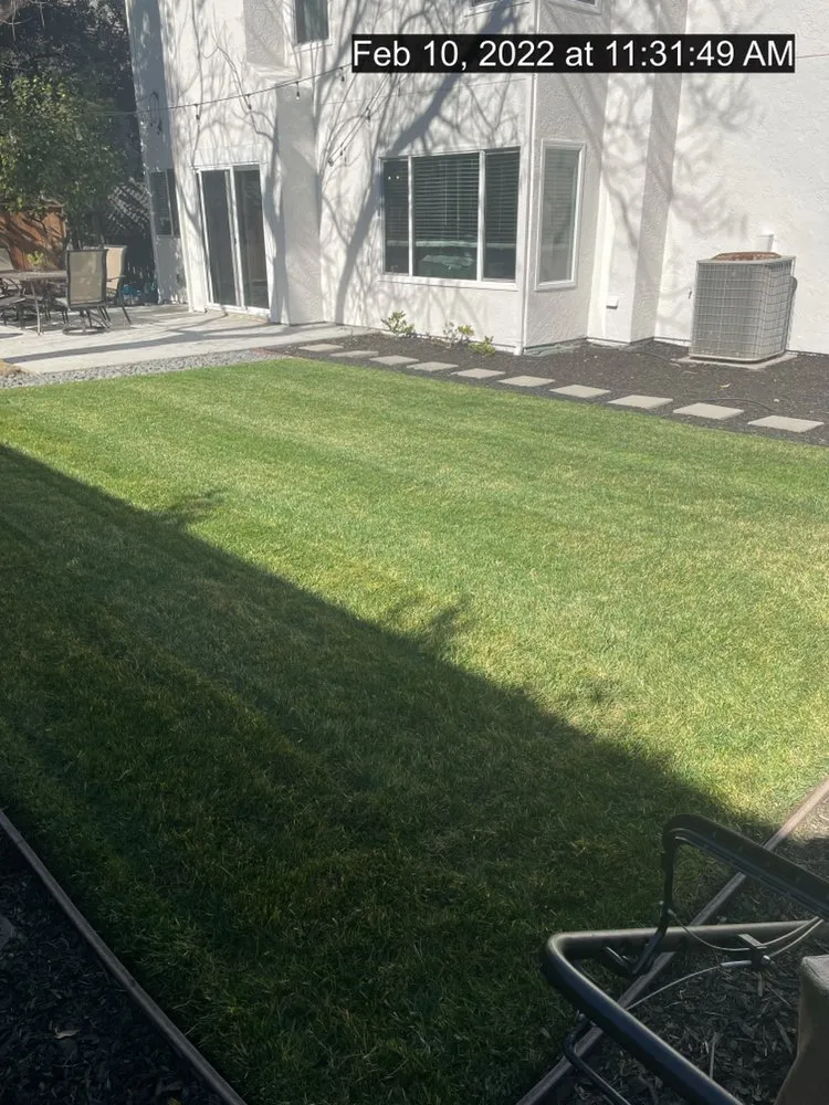 Professional landscape installation in Manteca, CA - Timber Tree Service And Landscaping