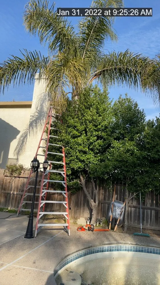 Reliable yard maintenance in Manteca, CA by Timber Tree Service And Landscaping