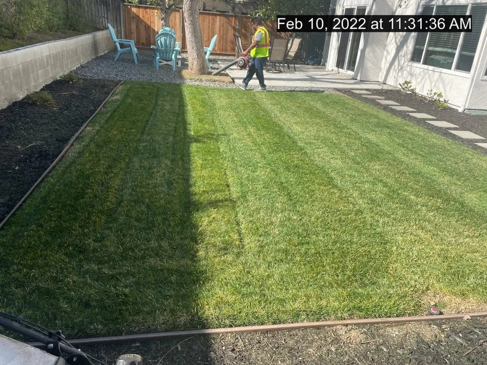 Expert landscape installation for year-round maintenance in Manteca, CA by Timber Tree Service And Landscaping
