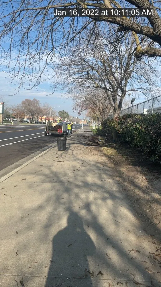 Local garden landscaping for beautiful yards across Manteca, CA - Timber Tree Service And Landscaping