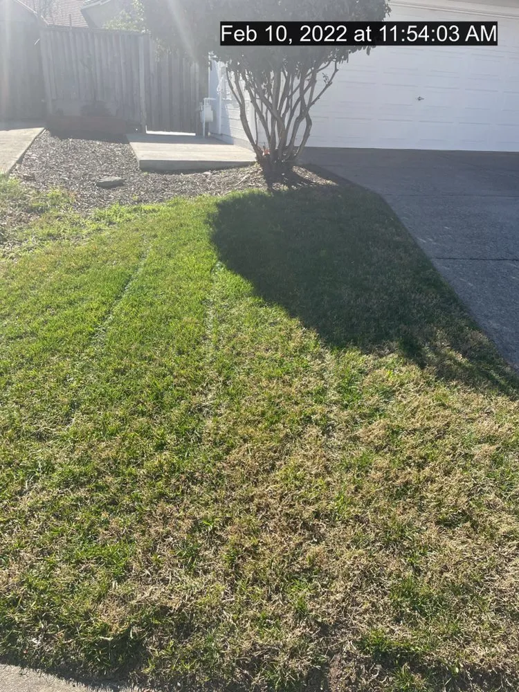 Affordable landscaping services with custom design across Manteca, CA - Timber Tree Service And Landscaping