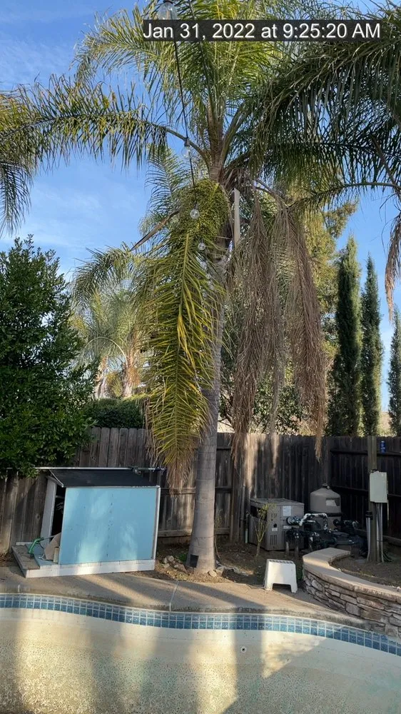 Trusted landscape installation for year-round maintenance in Manteca, CA by Timber Tree Service And Landscaping