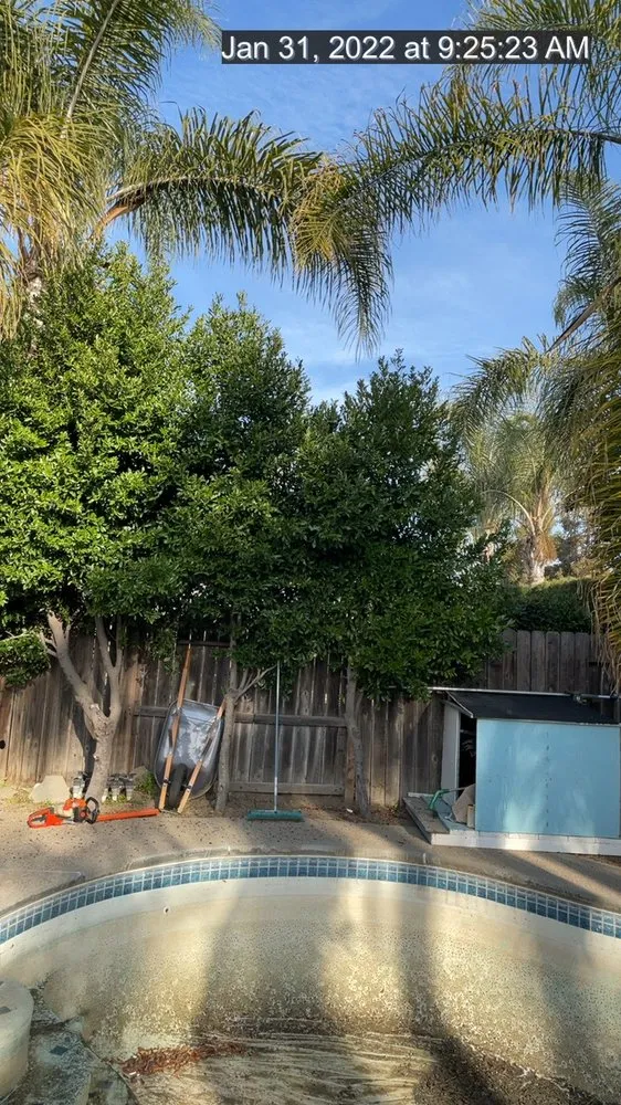 Professional lawn care service for beautiful yards across Manteca, CA - Timber Tree Service And Landscaping