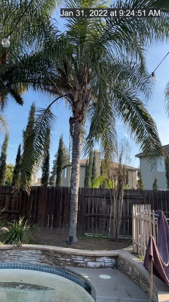Custom yard maintenance for homes in Manteca, CA by Timber Tree Service And Landscaping