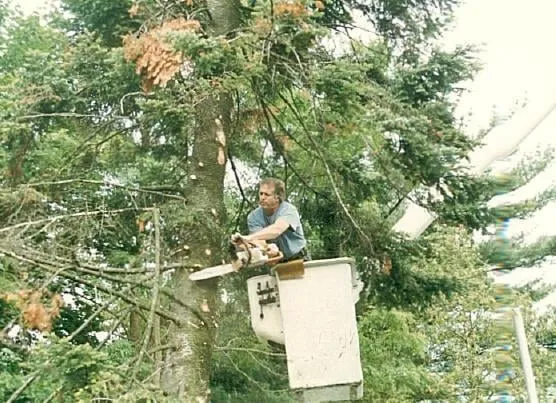 Trusted landscaping services experts serving Baldwinsville, NY - Timber Tree Service