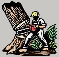 Timber Tree Service Logo