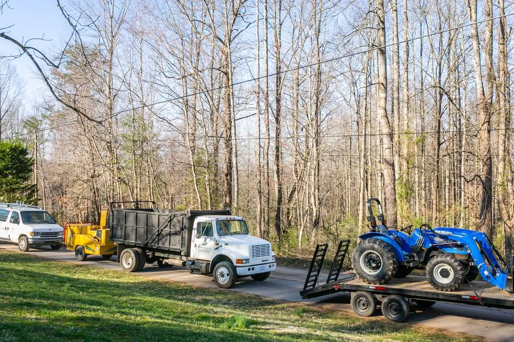 Top-rated landscaping services experts serving North Wilkesboro, NC - Timber Tree Service