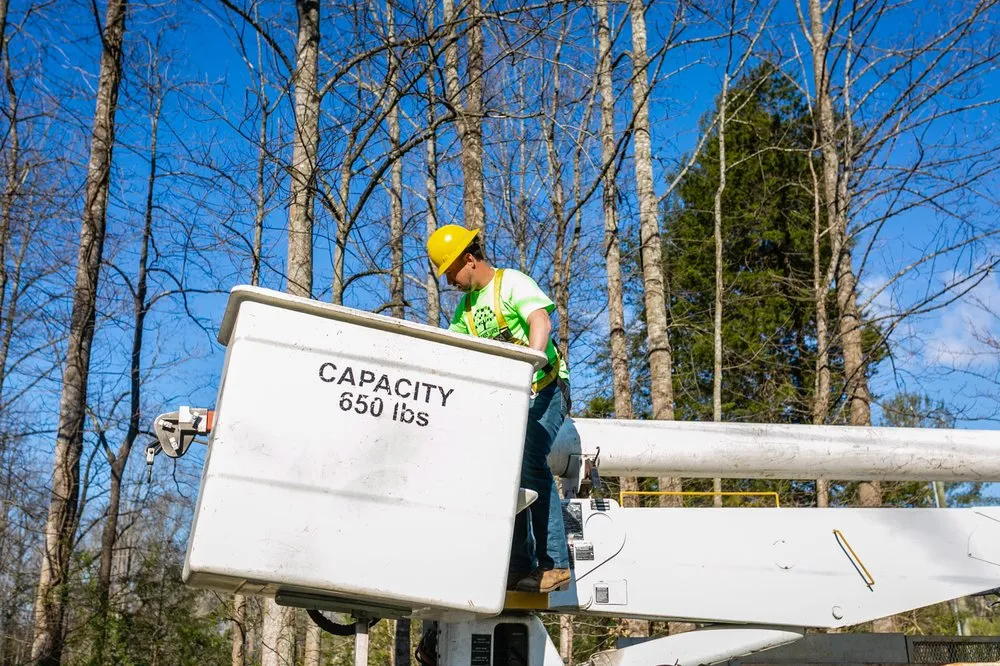 Reliable lawn care service with custom design across North Wilkesboro, NC - Timber Tree Service