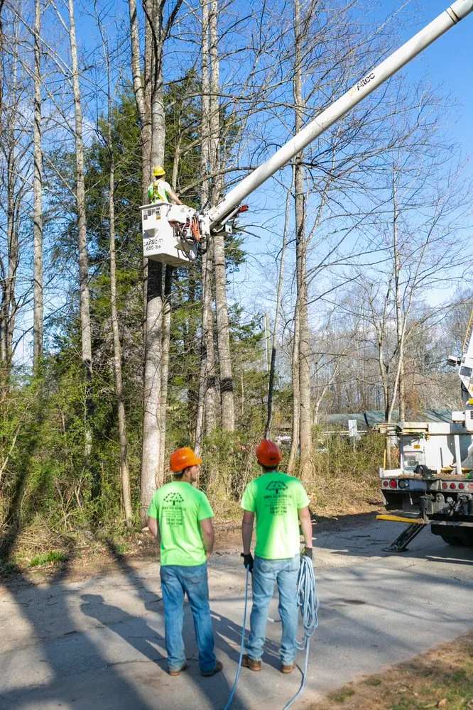 Trusted lawn mowing service for homes in North Wilkesboro, NC by Timber Tree Service