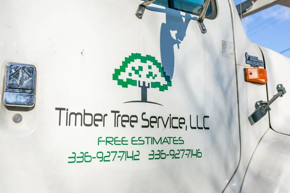 Trusted landscape design experts serving North Wilkesboro, NC - Timber Tree Service