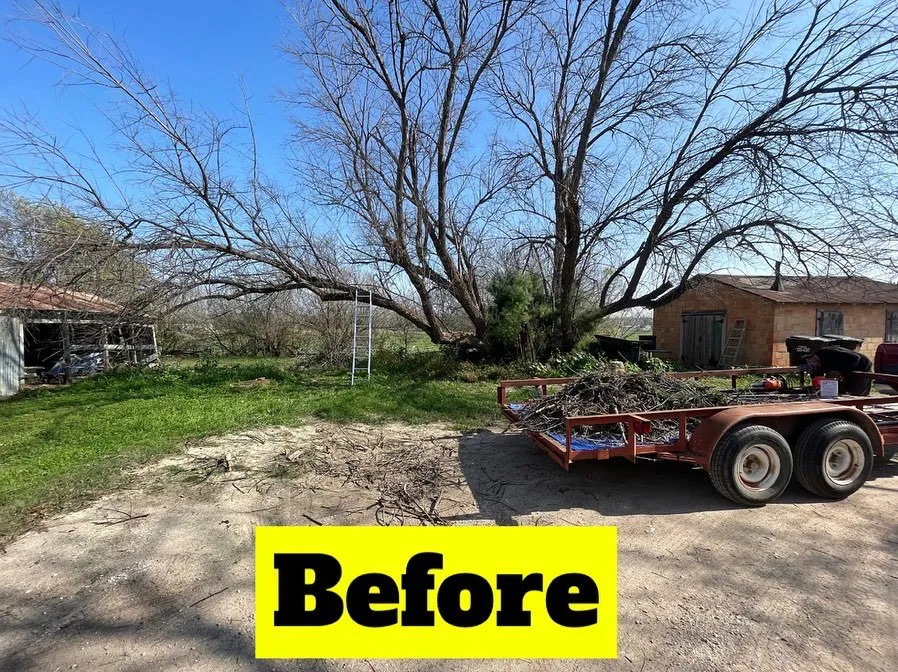 Custom landscaping services experts serving Rio Medina, TX - Timber! Trees and More