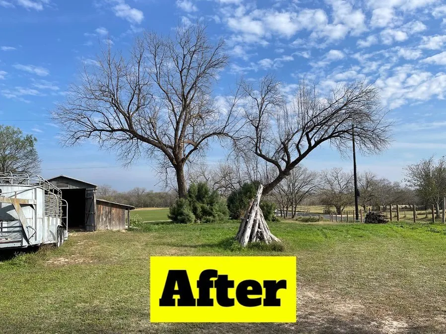 Local outdoor landscaping for beautiful yards in Rio Medina, TX by Timber! Trees and More