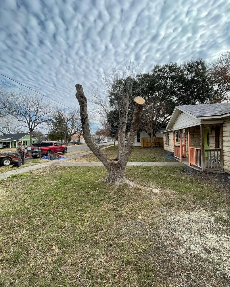 Reliable residential landscaping for residential properties across Rio Medina, TX - Timber! Trees and More