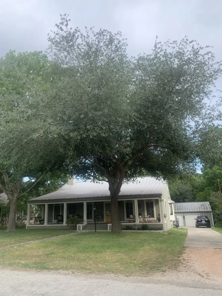 Local lawn care service in Rio Medina, TX by Timber! Trees and More