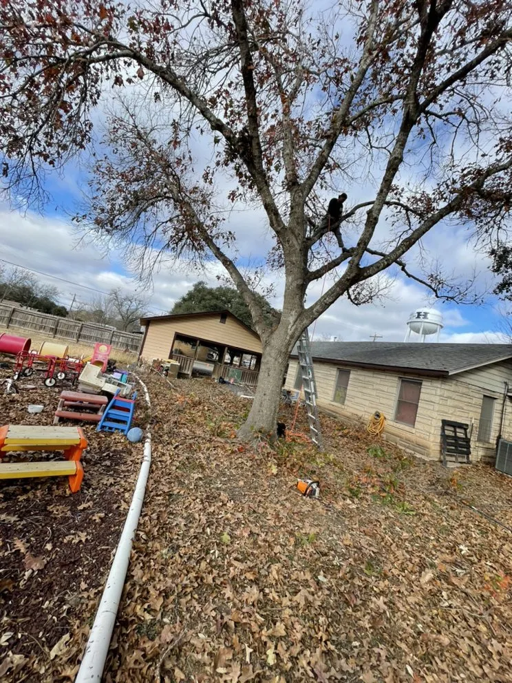 Affordable landscaping services for homes in Rio Medina, TX by Timber! Trees and More