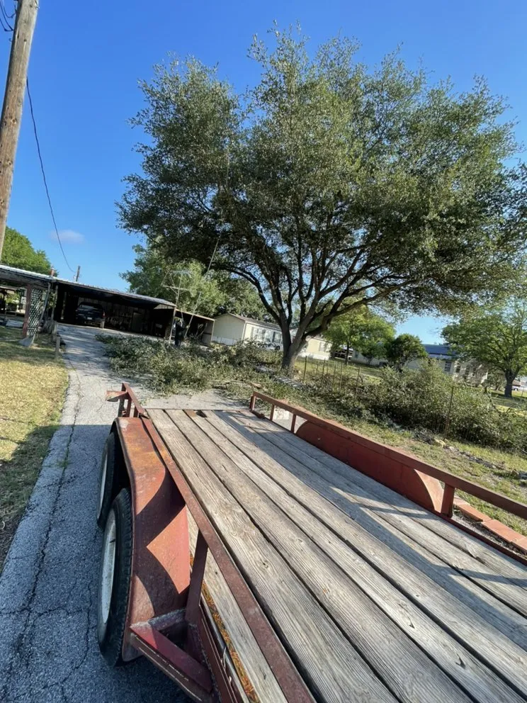 Custom lawn mowing service experts serving Rio Medina, TX - Timber! Trees and More