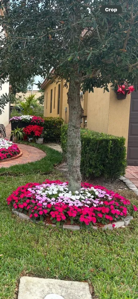 Professional residential landscaping in Fort Lauderdale, FL - Timber Trees Landscape & Design