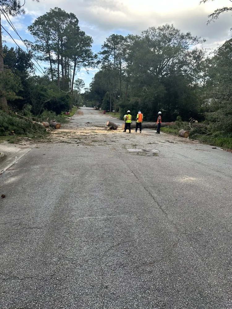 Professional landscape installation experts serving Lauderdale Lakes, FL - Timber Troupe Tree Care