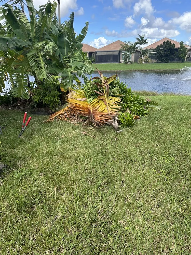 Expert lawn mowing service for year-round maintenance in Lauderdale Lakes, FL by Timber Troupe Tree Care