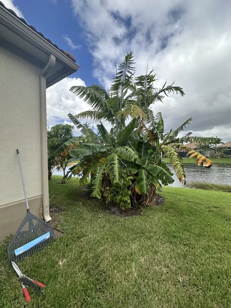 Professional landscaping services for outdoor upgrades in Lauderdale Lakes, FL by Timber Troupe Tree Care