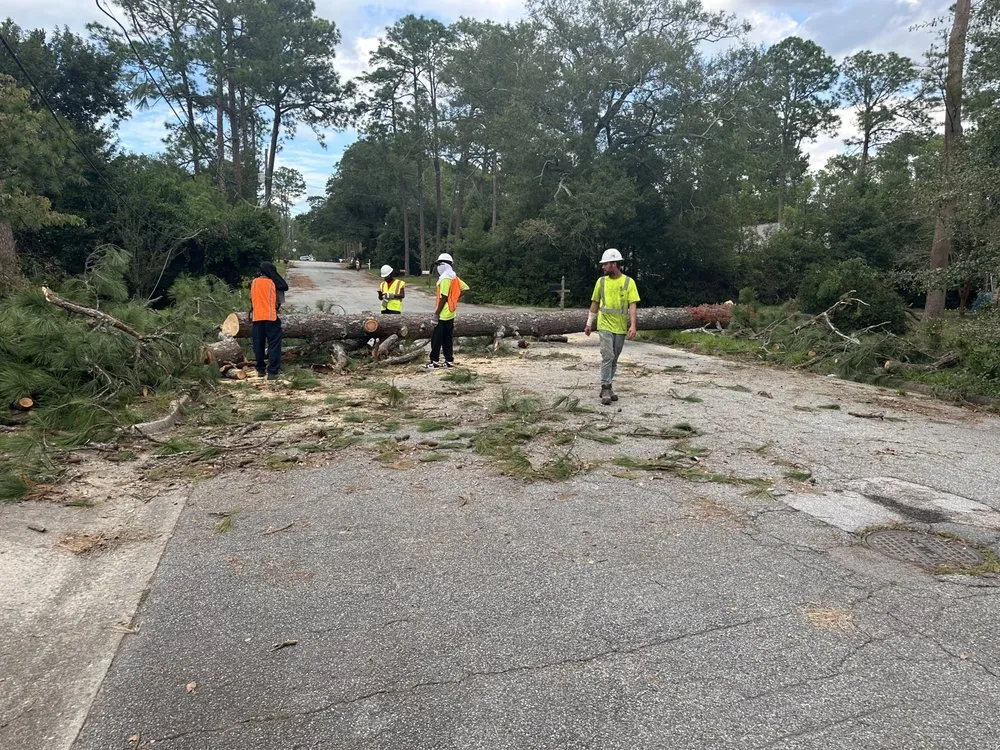 Professional lawn care service for outdoor upgrades in Lauderdale Lakes, FL by Timber Troupe Tree Care