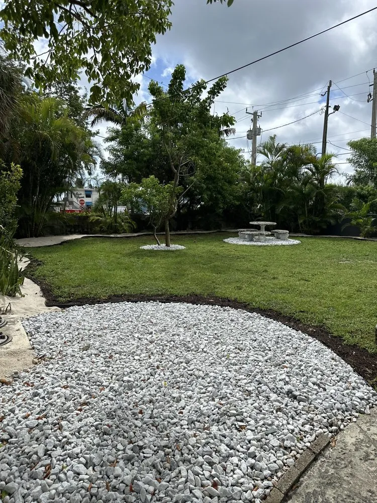 Reliable yard cleanup service for beautiful yards across Lauderdale Lakes, FL - Timber Troupe Tree Care