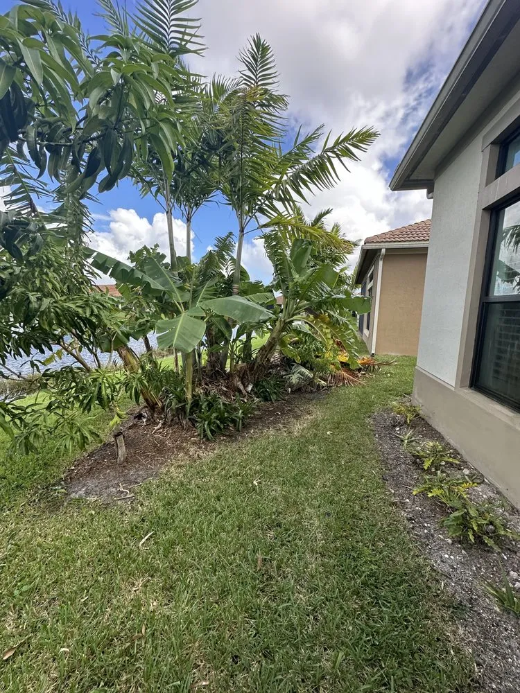 Top-rated landscape design in Lauderdale Lakes, FL by Timber Troupe Tree Care